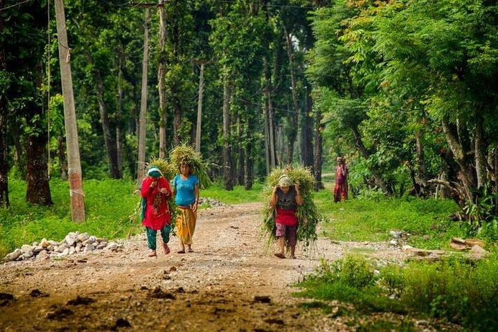 3-tägige Chitwan-Nationalpark-Tour ab Kathmandu mit dem Privatfahrzeug