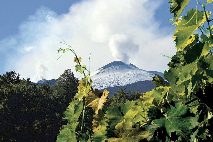 Tour Etna e Vinhos