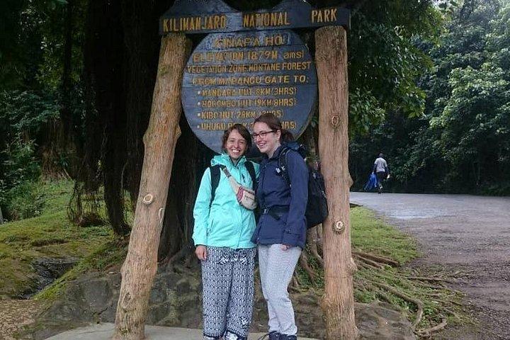 Kilimanjaro-dagwandeling in de bergen