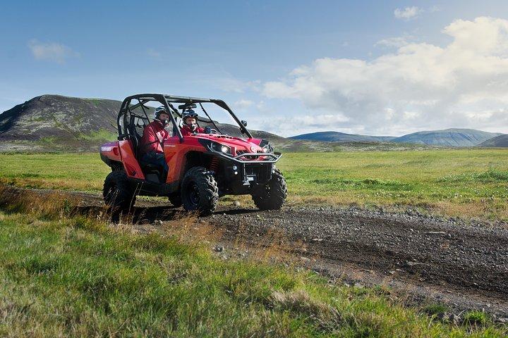 Reykjavik Buggy & Whale Watching fuld dag eventyr