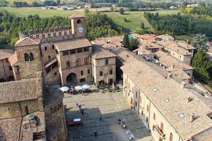 ヴァイオリン博物館、ストラディバリ+中世の村、ミラノからのツアー
