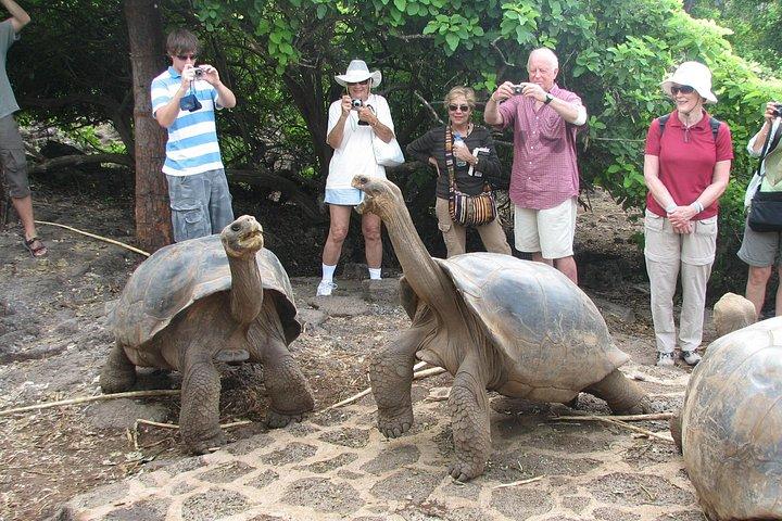 4日間のガラパゴス - イサベラ諸島とサンタクルス