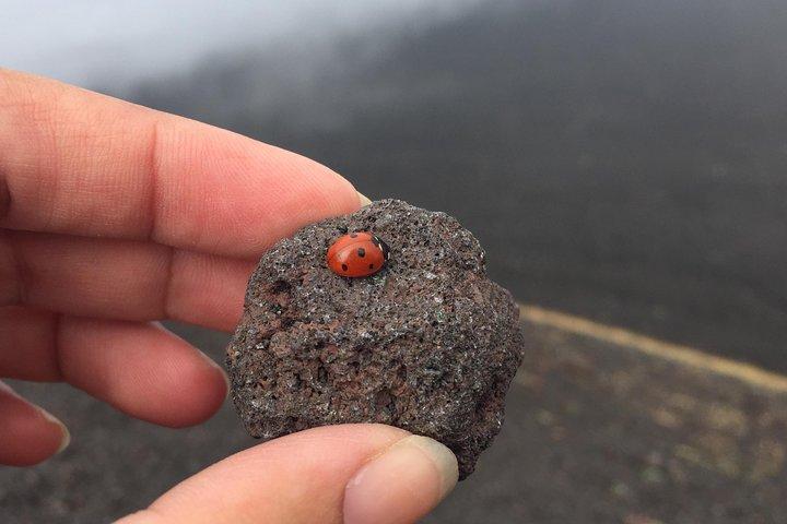 Tour Etna e Vinhos