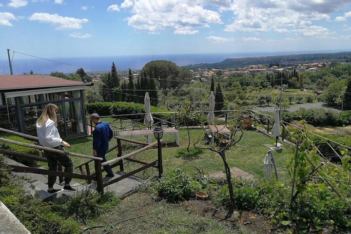Tour Etna e Vinhos
