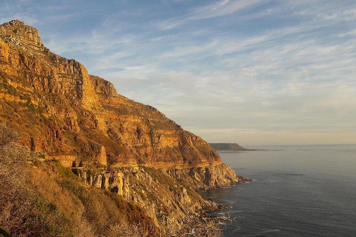 Tour privée Cap de Bonne-Espérance, Cap Point et des manchots.