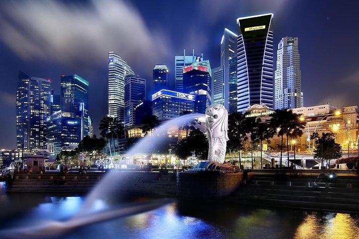 Tour della città con autista di 4 ore a Singapore