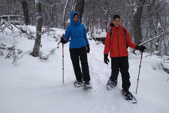 Excursion sur neige à Bariloche - Convient à toute la famille