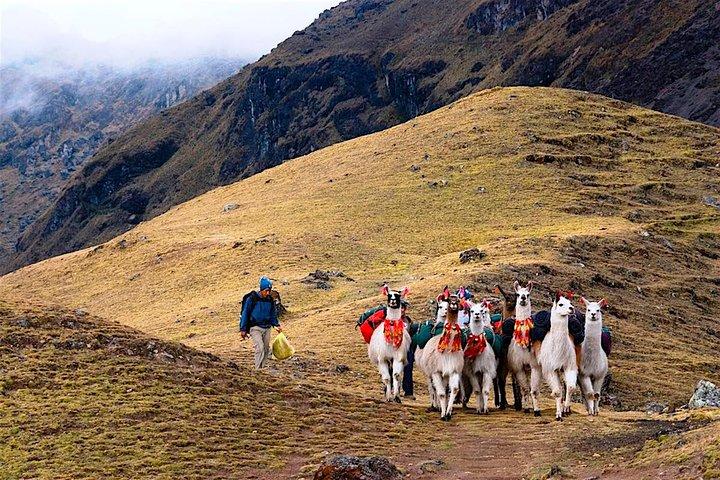 Lares Trek til Machu Picchu (4 dage)