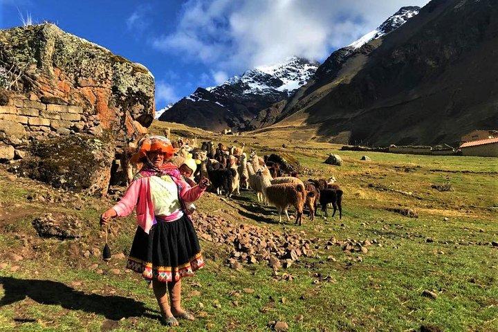 Lares Trek til Machu Picchu (4 dage)