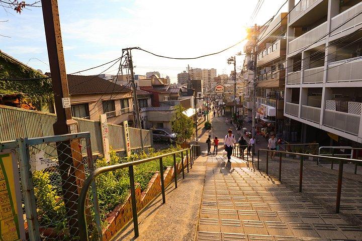 Yanaka Historical Walking Tour in Tokyo's Old Town