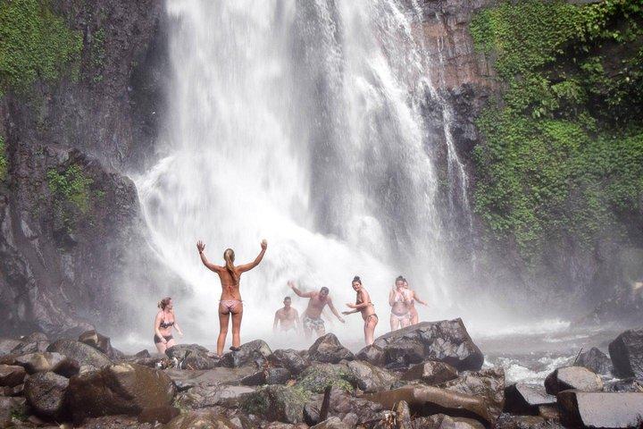 Private Full-Day West Bali Tour with Waterfall Visit