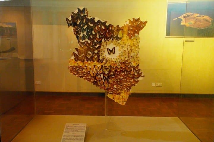 4 Hours Nairobi National Museum and Snake Park with Car