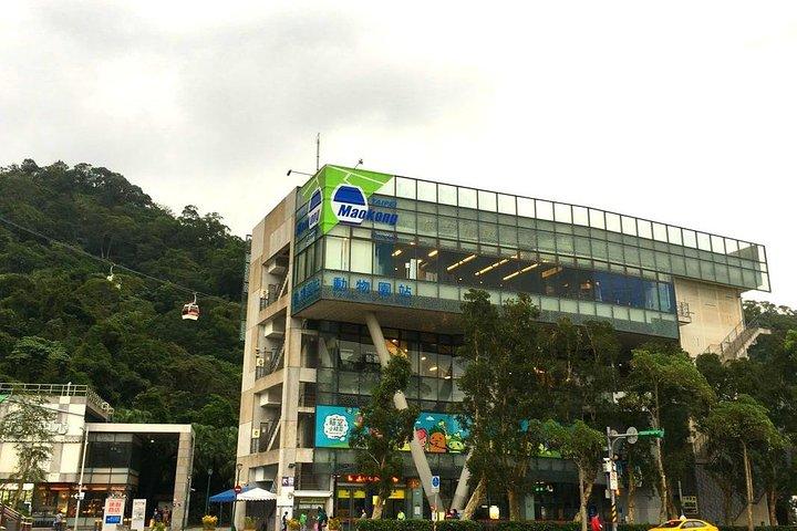N108 Taipei 101 Cat Air Cable Car Cat Empty Tea Garden Palace Museum Day Tour (10h)