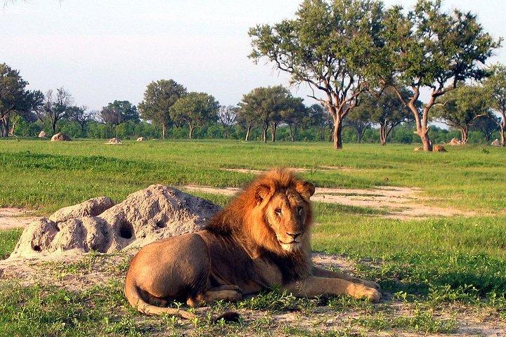 5-daagse Victoria Falls en Hwange National Park Accommodated Safari Tour