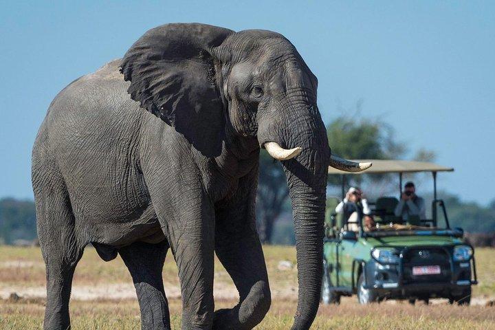 5-daagse Victoria Falls en Hwange National Park Accommodated Safari Tour