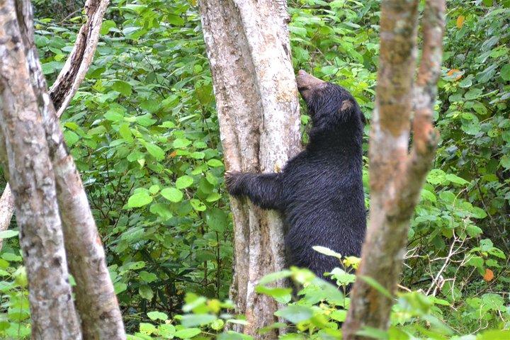 ネゴンボからウィルパットゥ国立公園への日帰り旅行