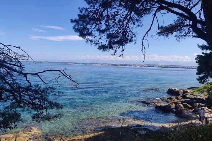 ザダルの近くの島々への半日スピードボート プライベート ツアー