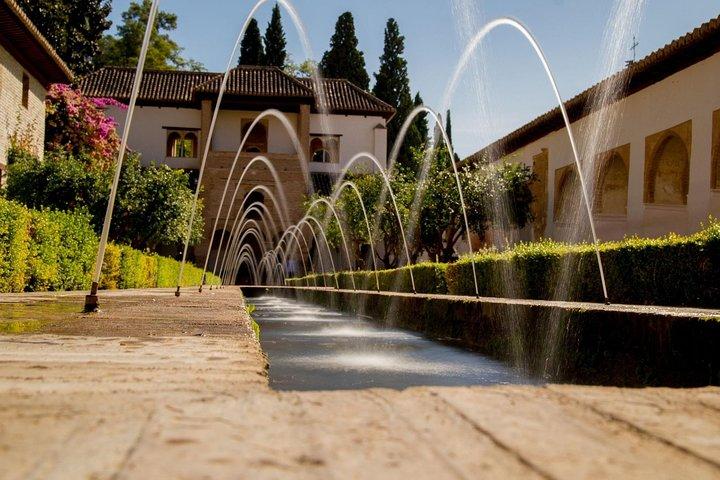 Visita Alhambra diurna (8 personas)