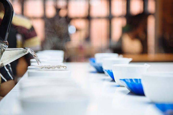 Masterclass di specialità di caffè
