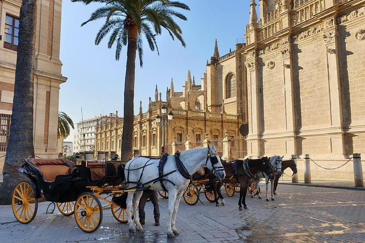 Tour gastronómico por Sevilla: tapas, vino, historia y tradiciones