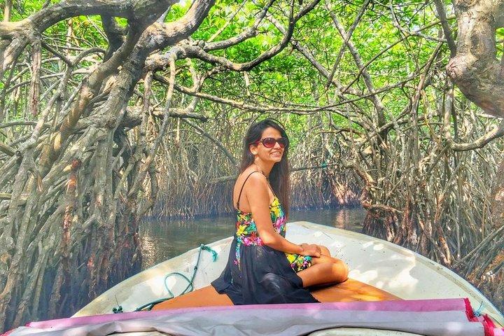 Galle Day Trip con Mangrove Safari Da Negombo