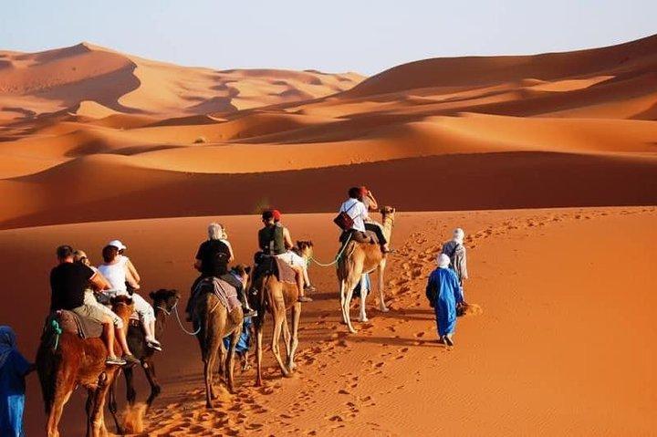 Marrakech Sahara Tours & Day Trips