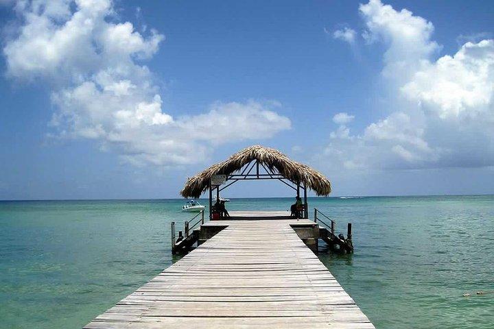 Tobago Buccoo Reef boottocht met glazen bodem
