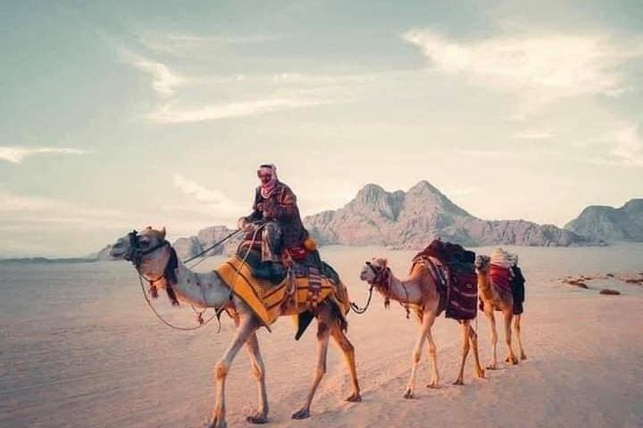 Caminos alegres: Mar Muerto - Wadi Rum