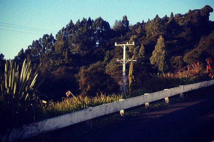 オークランド空港と市内送迎