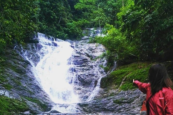Full-day Cameron Highlands Day Trip from Kuala Lumpur