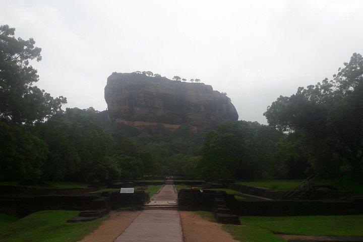 Privat Minneriya National Park Jeep Safari og Sigiriya Tour