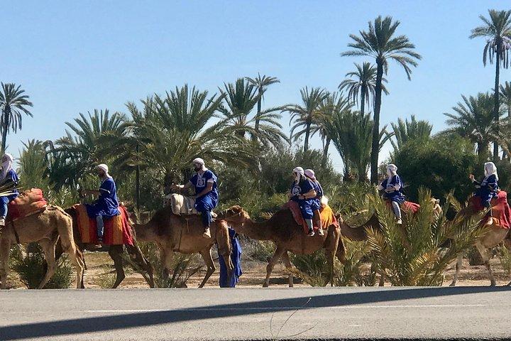 Marrakech Sahara Tours & Day Trips