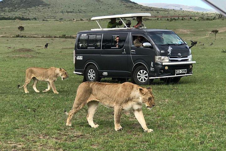 3 jours de safari aventure en groupe Maasai Mara à petit budget