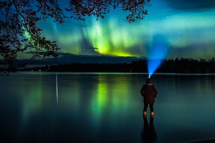 Herbstpicknick bei Aurora Borealis in Rovaniemi