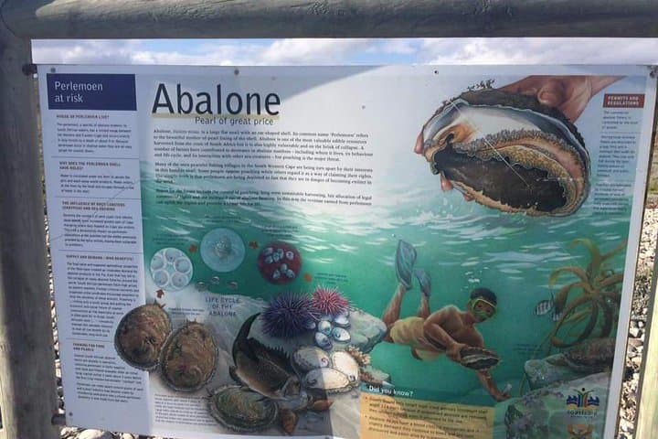 Cape Agulhas, Indian Ocean and Atlantic Ocean Meeting Point