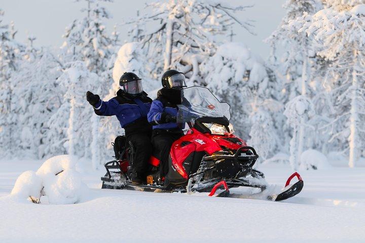 トナカイを追って-スノーモービルサファリとトナカイ農場