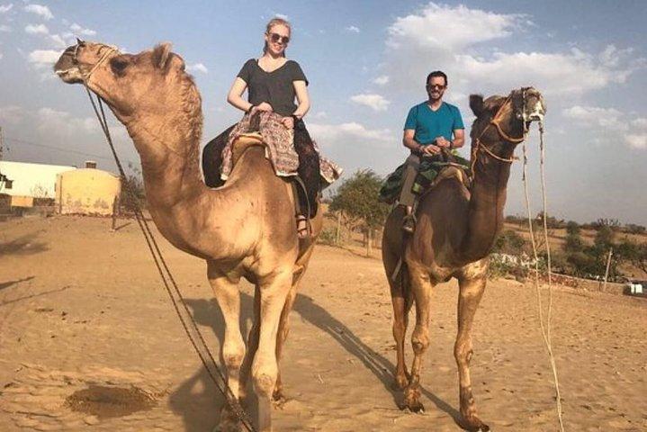 Tvådagarspaket (Camel Safari och Bishnoi Village Safari)