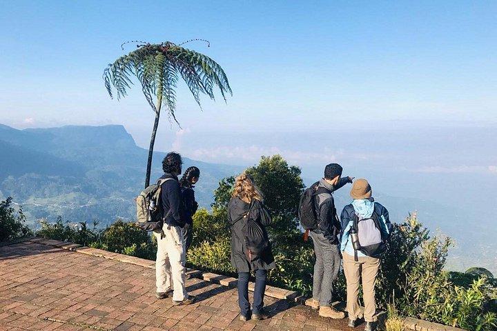 Birdwatching day at Chicaque Cloud Forest.