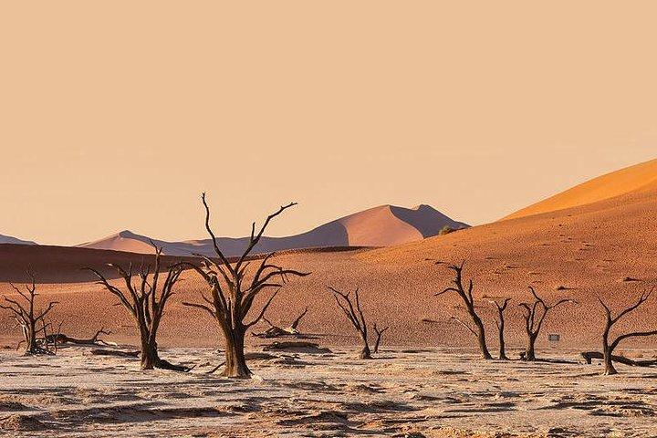10 GIORNI BELLEZZA DELLA NAMIBIA | Guidato Lodge