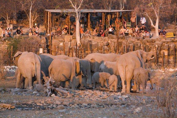 10 GIORNI BELLEZZA DELLA NAMIBIA | Guidato Lodge