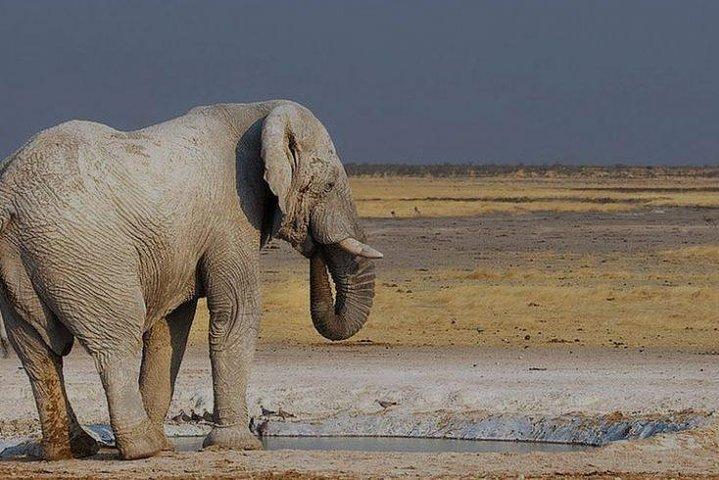 12 días guiado Namibia en Plus | Guided Lodge
