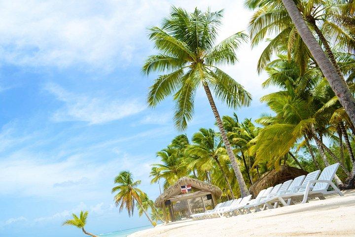 Saona Island Day Trip