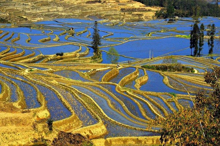 4-dagars privat rundtur Stone forest Yuanyang Terrace Jianshui gamla stad från Kunming