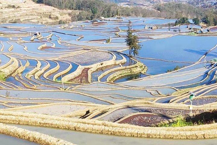 4日間のプライベートツアー昆明から石林YuanyangテラスJianshui旧市街