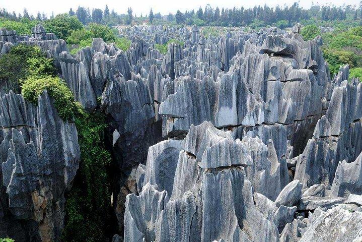 4日間のプライベートツアー昆明から石林YuanyangテラスJianshui旧市街