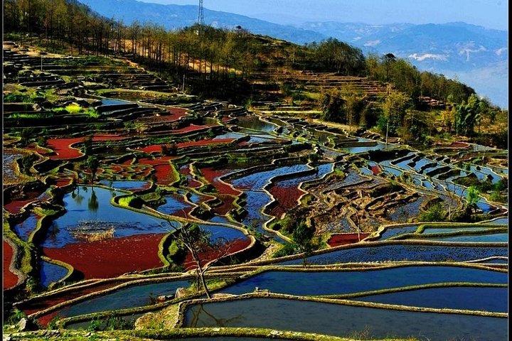 4日間のプライベートツアー昆明から石林YuanyangテラスJianshui旧市街