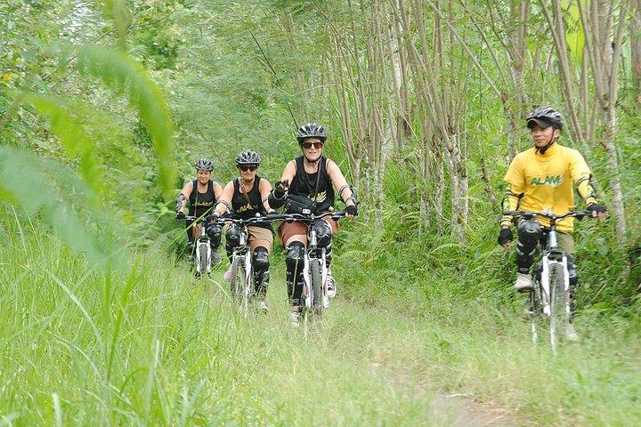 Excursão Kintamani Downhill
