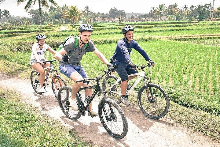 Kintamani Downhill Bike Tour