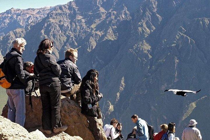 Colca 2 Days and 1 Night