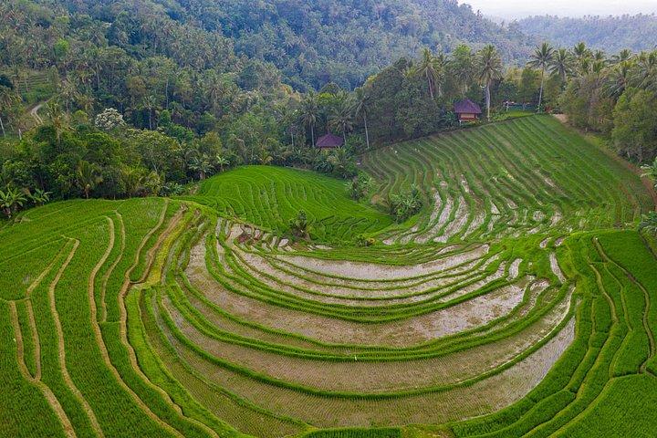 Bali Drone-fotografietour